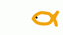 BLoopzafosh