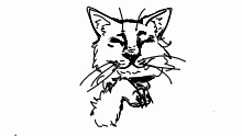 good kitty