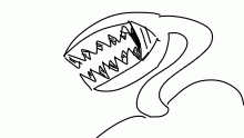 YOUR TEETH