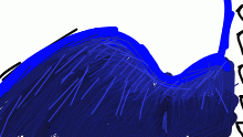 A wing