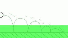 New Animation