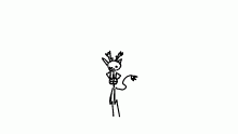 bongo