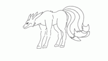 Kokuo