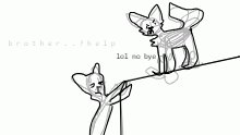 cat king