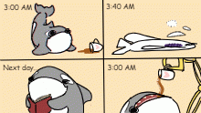 everyday