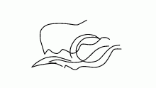fart