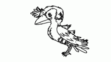 burd