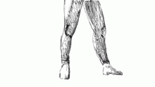 some legs