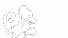 wipppp