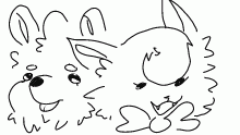 two random characters