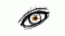 eye