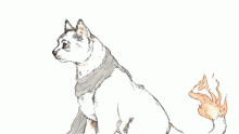Flare-aamon