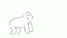 monkey see monkey do
