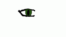 eye