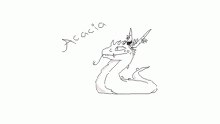 ACACIA (greyscale) @flare