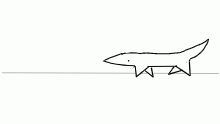 lizard