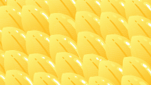 pfp