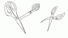 scissors