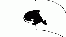 very very old draft