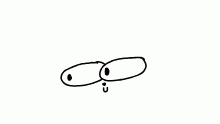 My Profile Picture