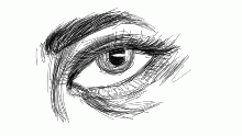 Eye