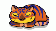 @anonymoustiger