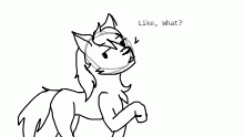 rando oc