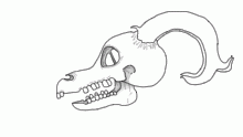 Deer Skull?