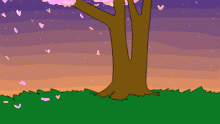 Cherry blossom tree