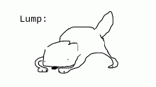 Lump isn't real,