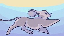 he swim!