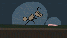 Ant Walkin'
