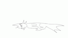lease the cat