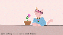 Pink catnip
