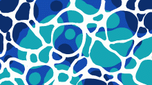 Avatar for Ipsum