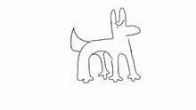 there was this dog