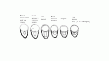 face shaepe pracctice and refrence
