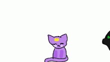 kitty