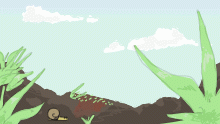 Snail