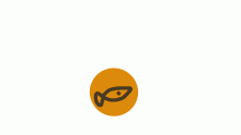 Test koin