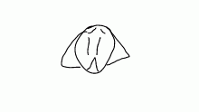 @B1zzar3