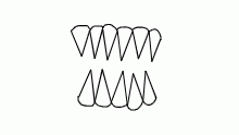 teeth