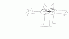 weird cat