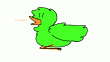dis is mai bird screeches