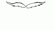 wing cycle (not good)