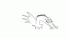 lizard