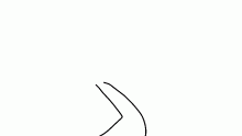 Random Animation