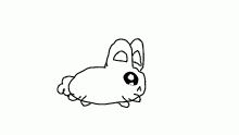 test :)