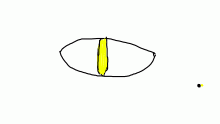 Wolf eye