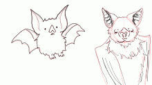 Bat doodle